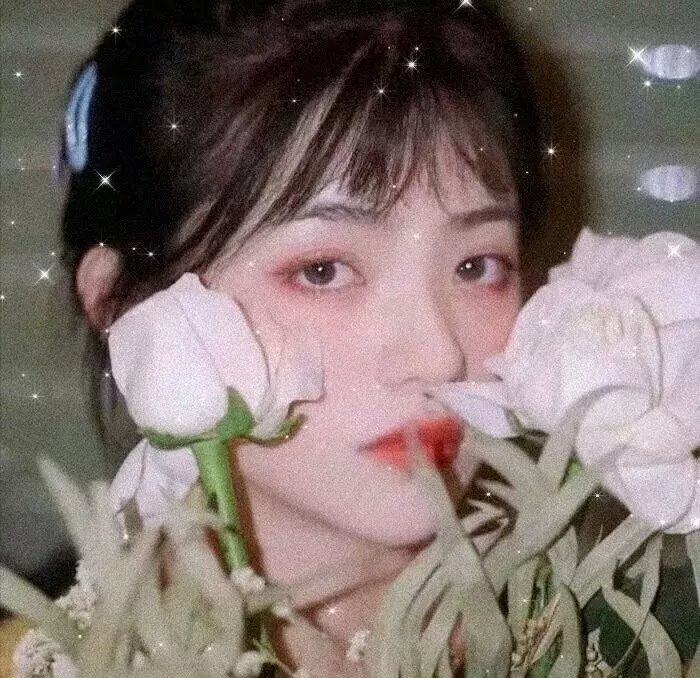 完美父母