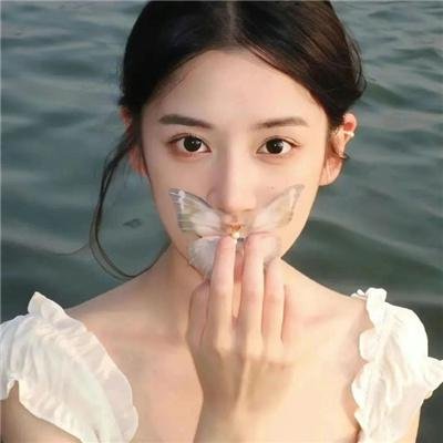 海燕双飞
