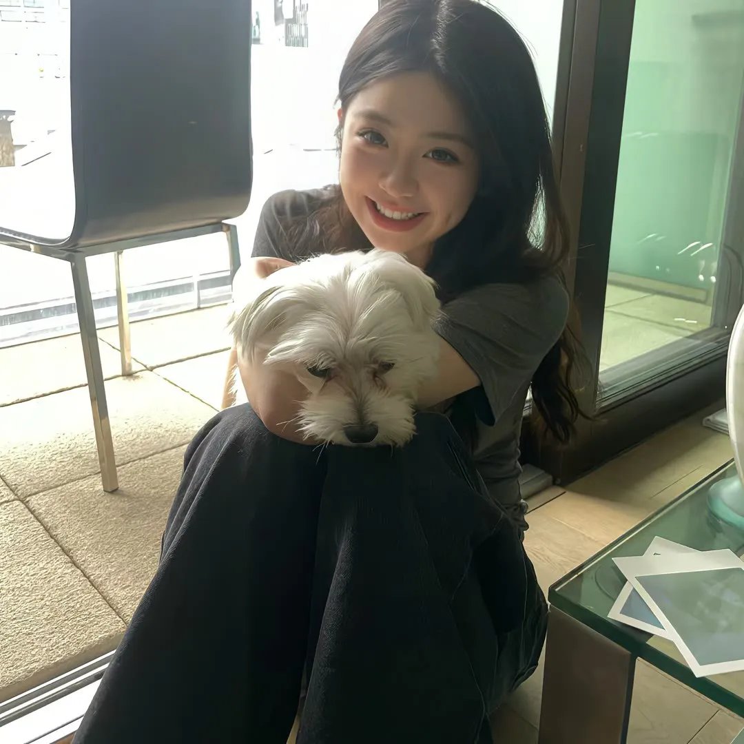 妙探乌龙记